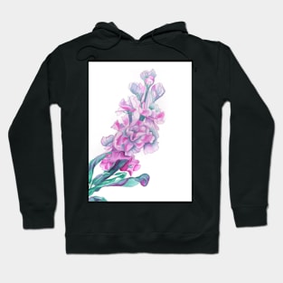 Matthiola Incana (Stock) pink flower painting Hoodie